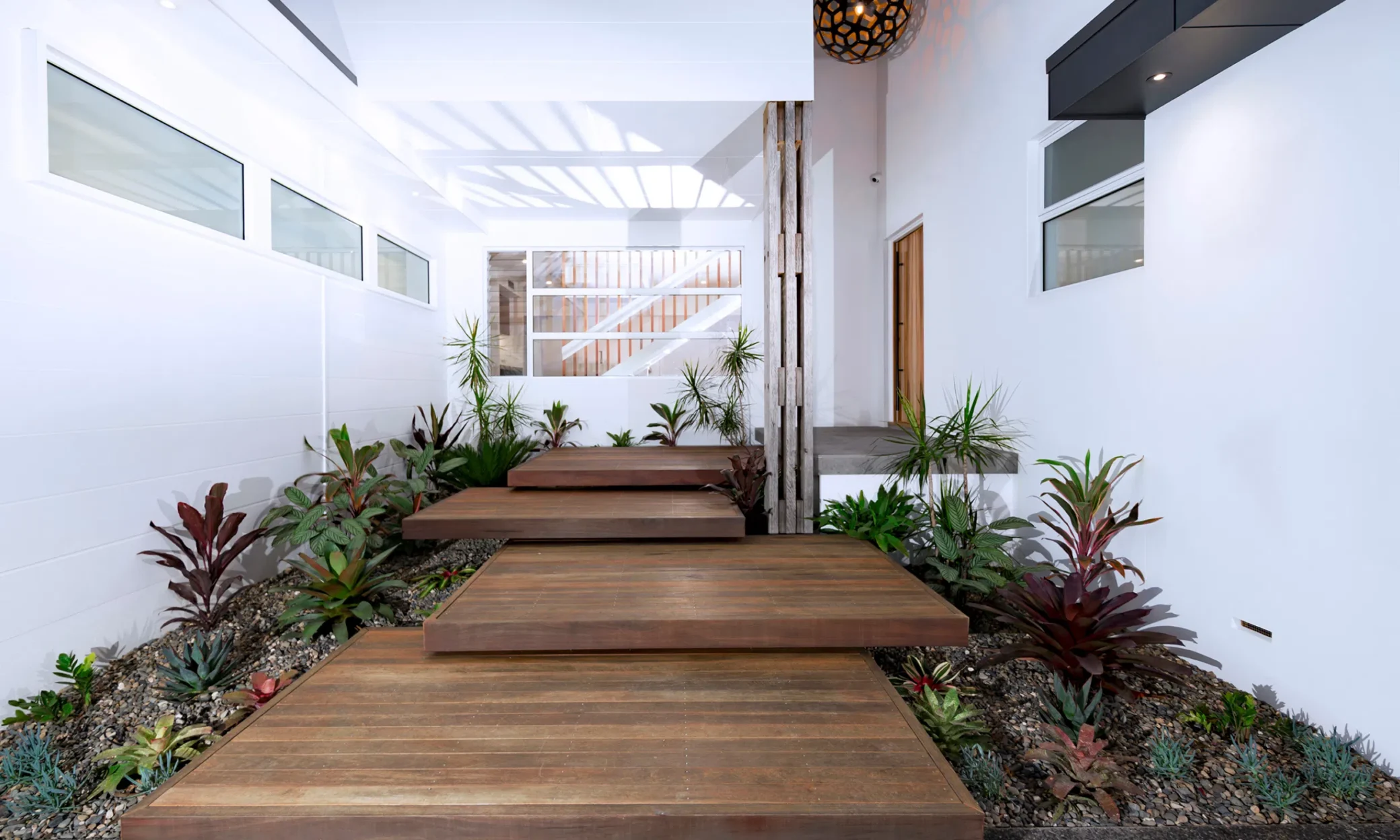 Modern home entrance in Port Stephens with a series of wooden steps surrounded by lush, multicolored plants, leading to a wooden door. The pathway is flanked by white walls under an open white perg